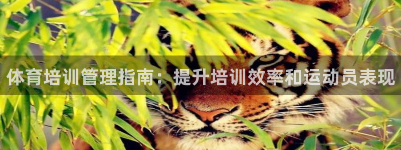 耀世娱乐挂机赚钱吗：体育培训管理指南：提升培训效率和
