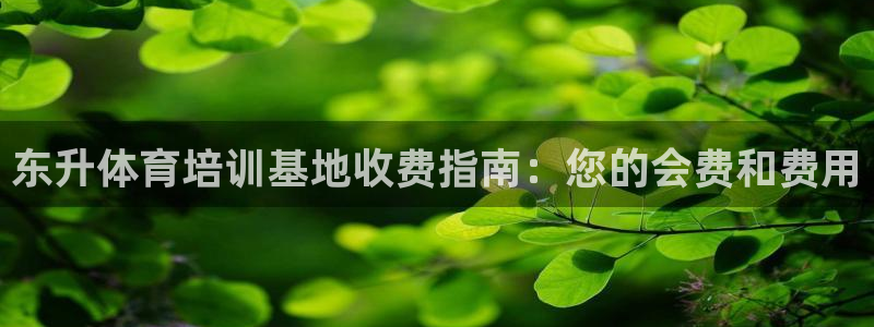 耀世登场的图片：东升体育培训基地收费指南：您的会费和
