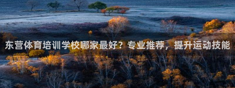 耀世挑战怎么打：东营体育培训学校哪家最好？专业推荐，
