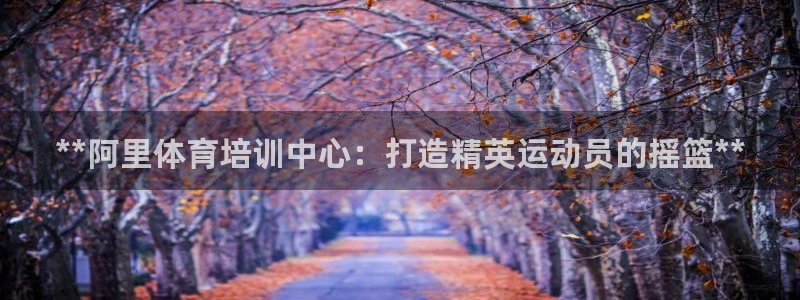 耀世国际集团是国企吗还是私企：**阿里体育培训中心：