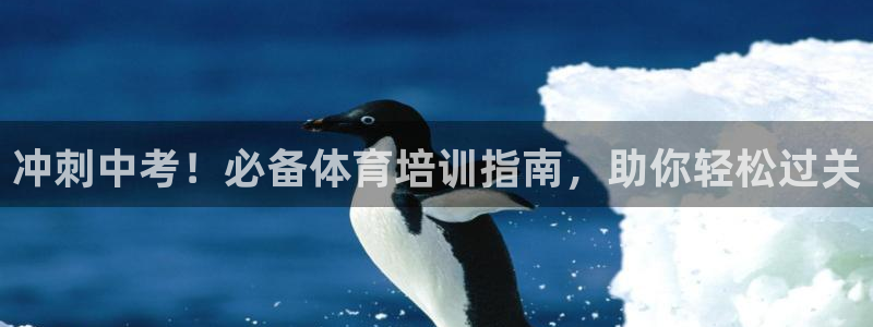 耀世首开什么意思：冲刺中考！必备体育培训指南，助你轻