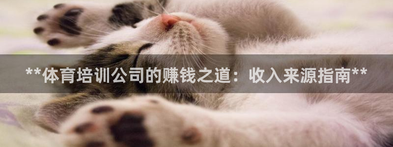 耀世娱乐返点多少钱：**体育培训公司的赚钱之道：收入