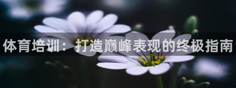 耀世平台有很多登录地址怎么回事：体育培训：打造巅峰表