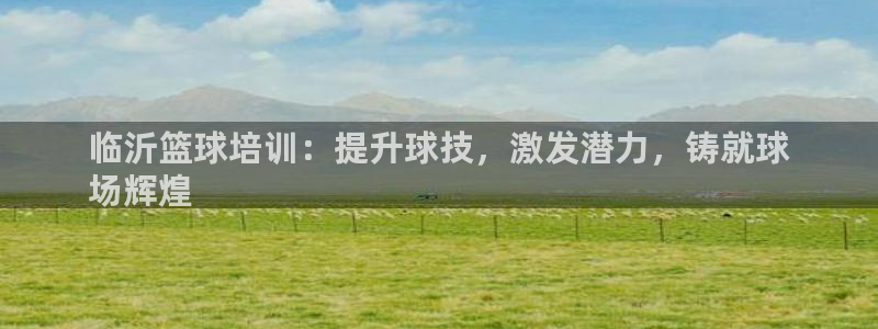 耀世平台app下载安装：临沂篮球培训：提升球技，激发