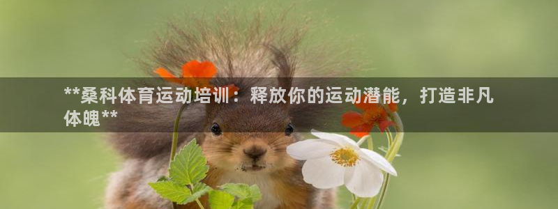 耀世娱乐脚本下载安装：**桑科体育运动培训：释放你的