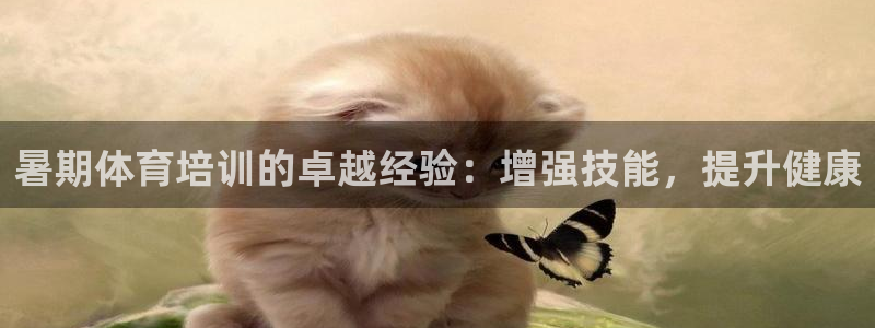 耀世娱乐在线登录官网入口：暑期体育培训的卓越经验：增
