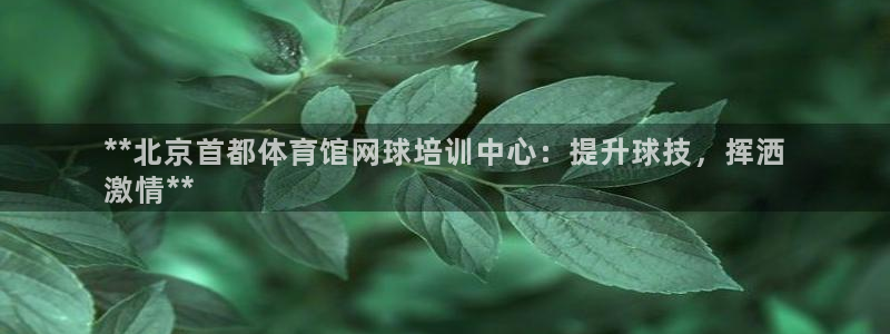 耀世娱乐在线登录官网入口下载：**北京首都体育馆网球