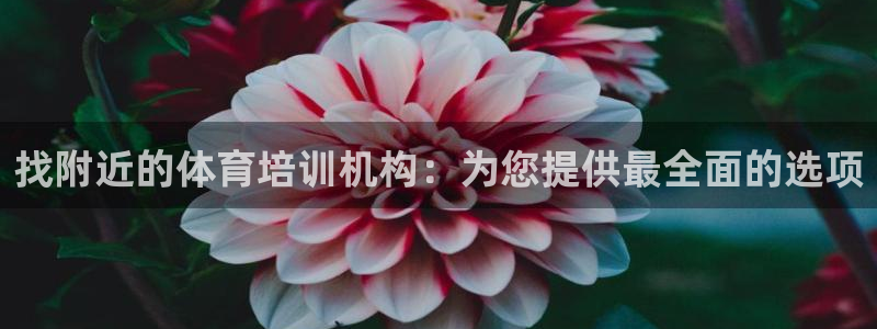 耀世挑战第三关怎么过：找附近的体育培训机构：为您提供