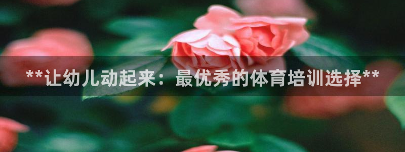 耀世捷科技