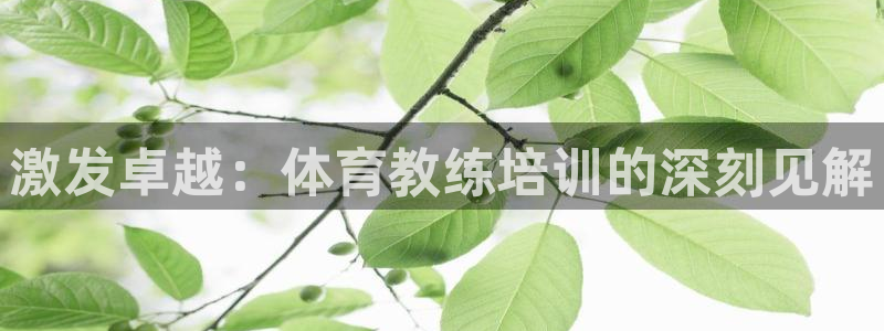 耀世娱乐注册官网账号：激发卓越：体育教练培训的深刻见