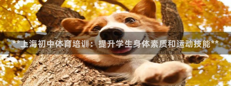 耀世娱乐能提现到微信吗：**上海初中体育培训：提升学