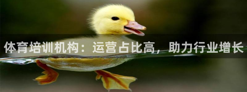 耀世令有什么用：体育培训机构：运营占比高，助力行业增