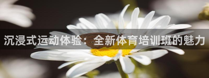 耀世娱乐挂机脚本怎么用：沉浸式运动体验：全新体育培训