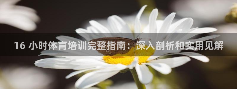 耀世娱乐平台注册地址在哪里看：16 小时体育培训完整