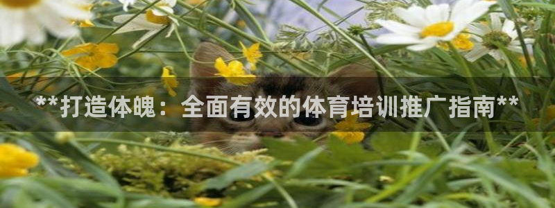 耀世平台话7O777：**打造体魄：全面有效的体育培