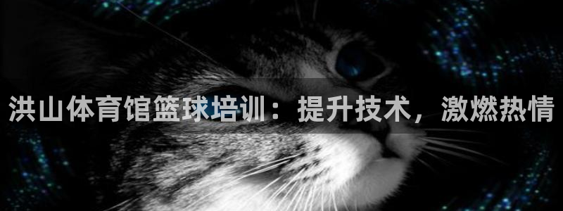 耀世平台招商怎么样：洪山体育馆篮球培训：提升技术，激