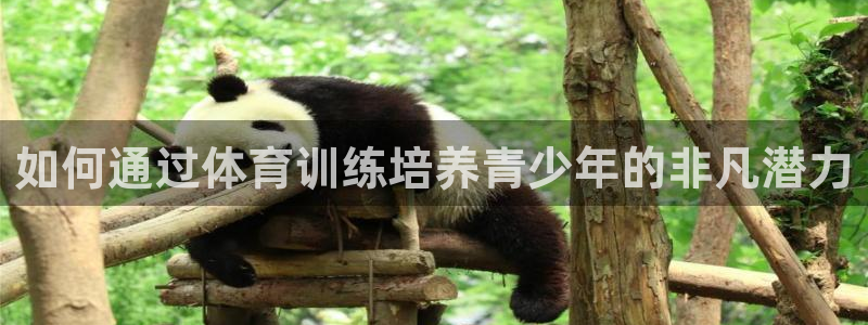 耀世娱乐注册等7O777：如何通过体育训练培养青少年