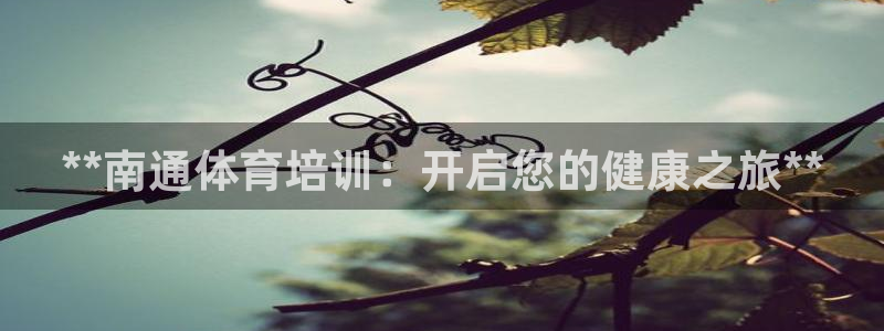 耀世微光简谱