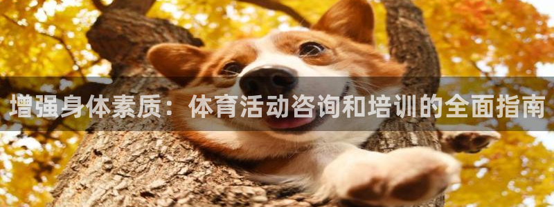 耀世娱乐如何登录账号啊：增强身体素质：体育活动咨询和