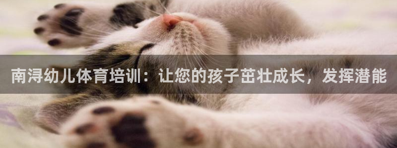 耀世天下怎么接：南浔幼儿体育培训：让您的孩子茁壮成长