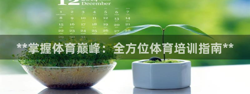 耀世雷霆下载：**掌握体育巅峰：全方位体育培训指南*