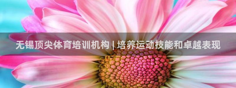 耀世娱乐价 411O31 耀世：无锡顶尖体育培训机构