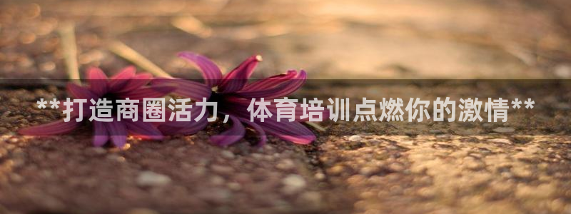耀世平台乙六七五一38：**打造商圈活力，体育培训点燃你的激