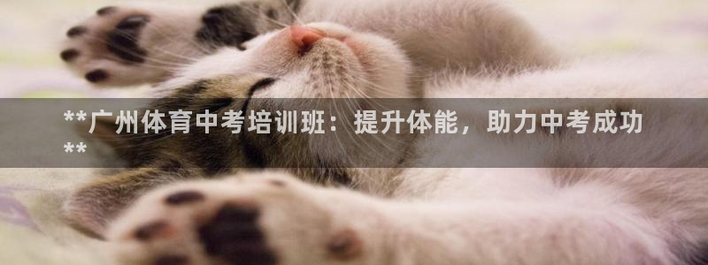 耀世娱乐下载最新版本安装包：**广州体育中考培训班：提升体能