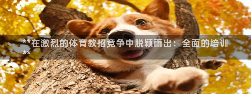耀世娱乐返点：**在激烈的体育教招竞争中脱颖而出：全面的培训