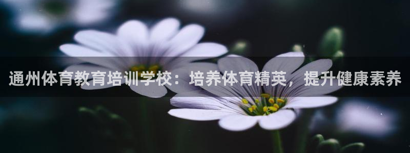 耀世平台关7O777：通州体育教育培训学校：培养体育精英，提