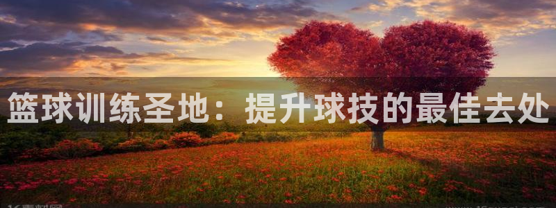 耀世开启什么意思：篮球训练圣地：提升球技的最佳去处