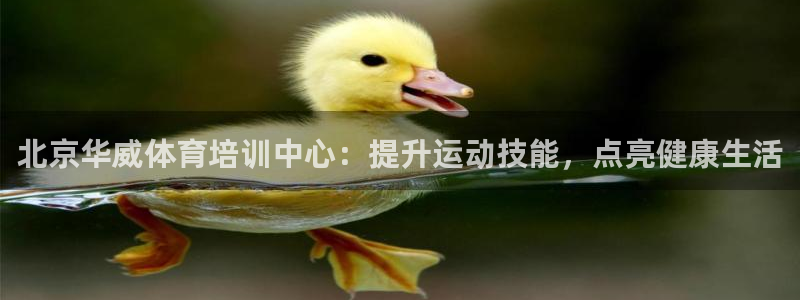 耀世平台注册开户：北京华威体育培训中心：提升运动技能，点亮健