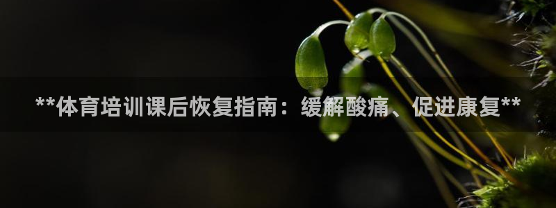 耀世国际平台正规吗安全吗可靠吗：**体育培训课后恢复指南：缓
