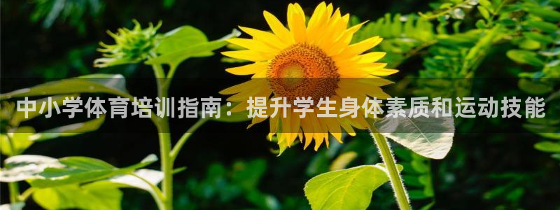 耀世娱乐客服电话多少：中小学体育培训指南：提升学生身体素质和