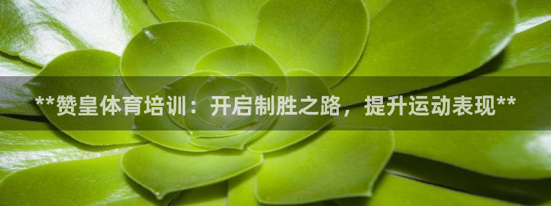 耀世平台先 585341 耀世：**赞皇体育培训：开