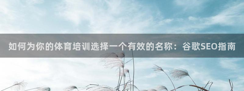 耀世平台注册链接怎么打开：如何为你的体育培训选择一个
