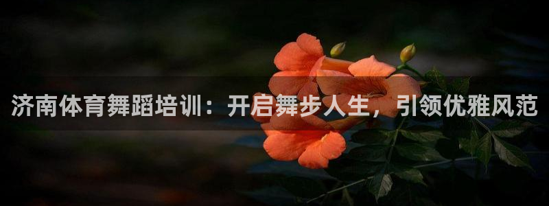 耀世娱乐含山：济南体育舞蹈培训：开启舞步人生，引领优雅风范