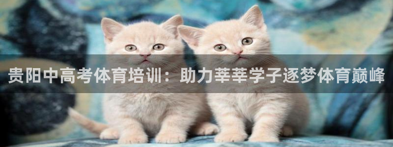 耀世平台官方网站：贵阳中高考体育培训：助力莘莘学子逐