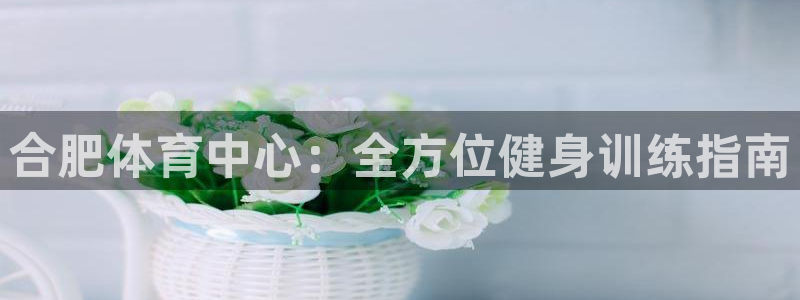 耀世娱乐下载最新版本安装苹果：合肥体育中心：全方位健