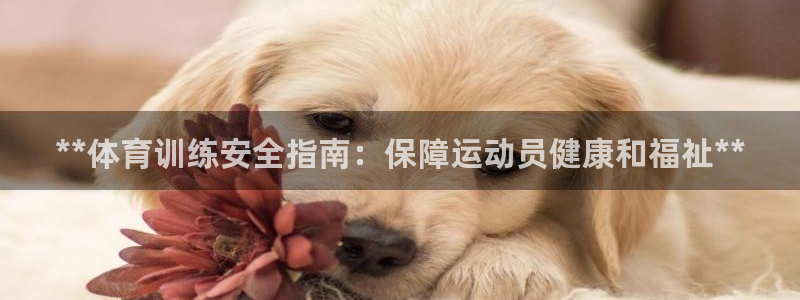 耀世登场之类的广告词：**体育训练安全指南：保障运动