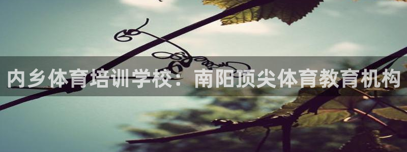 耀世娱乐百科最新：内乡体育培训学校：南阳顶尖体育教育