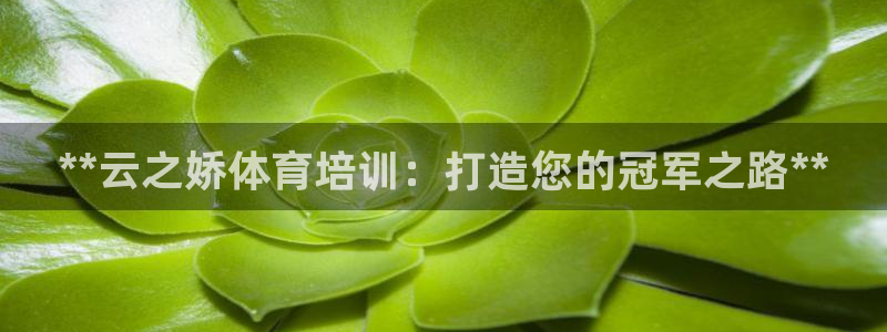 耀世娱乐平台官网登录入口网址：**云之娇体育培训：打