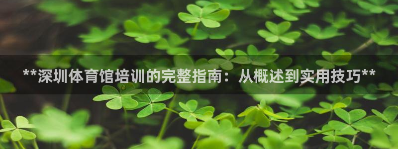 耀世娱乐赢咖6代理：**深圳体育馆培训的完整指南：从