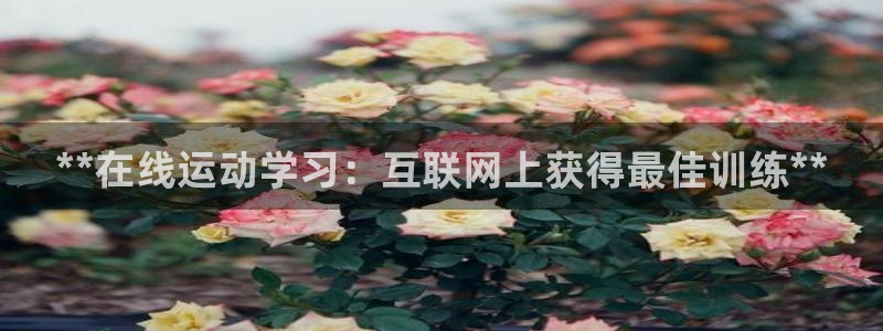 耀世天下是什么意思啊：**在线运动学习：互联网上获得