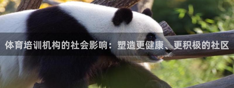 耀世娱乐是不是很黑：体育培训机构的社会影响：塑造更健康、更积