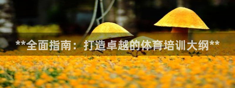 耀世盛典手游下载：**全面指南：打造卓越的体育培训大