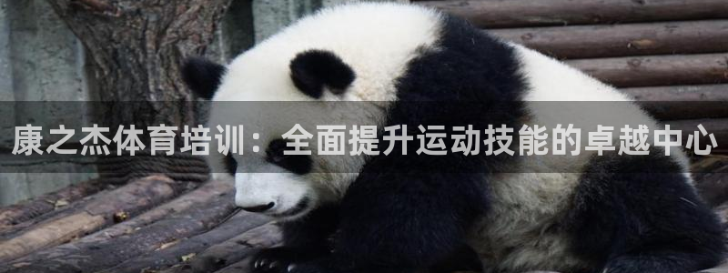 耀世传媒好吗：康之杰体育培训：全面提升运动技能的卓越