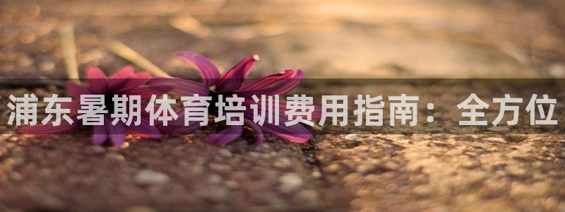 耀世平台哪个彩种是公平彩：浦东暑期体育培训费用指南：