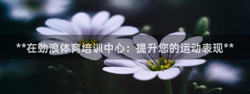 耀世平台注册最新地址在哪：**在劲浪体育培训中心：提