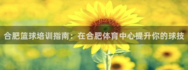 耀世天下的图片：合肥篮球培训指南：在合肥体育中心提升